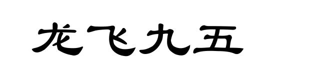 龙飞九五