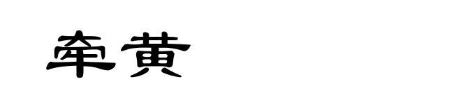 牵黄