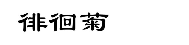 徘徊菊