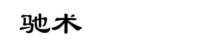 驰术