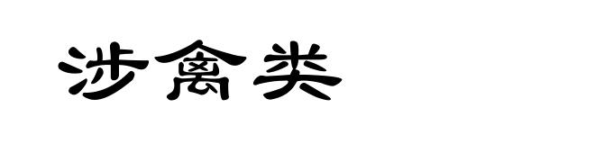 涉禽类