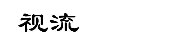 视流
