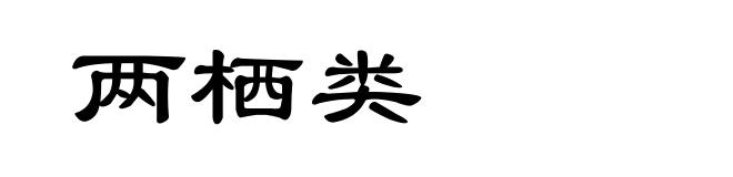 两栖类