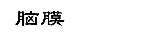 脑膜