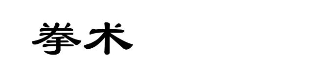拳术