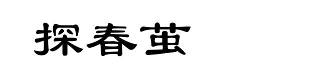 探春茧