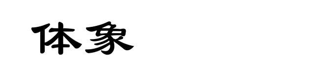 体象