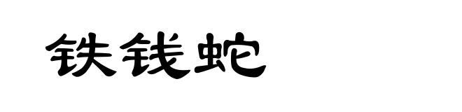 铁钱蛇