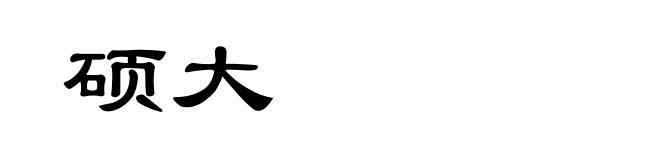 硕大