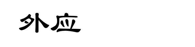 外应