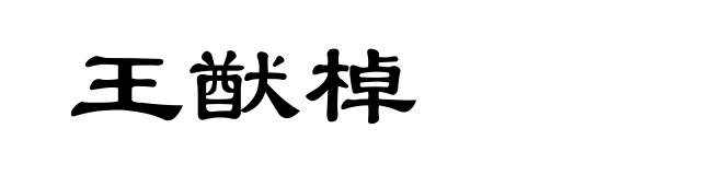 王猷棹