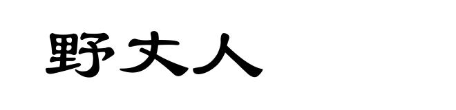 野丈人
