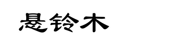 悬铃木