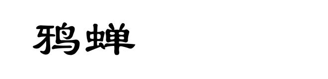 鸦蝉