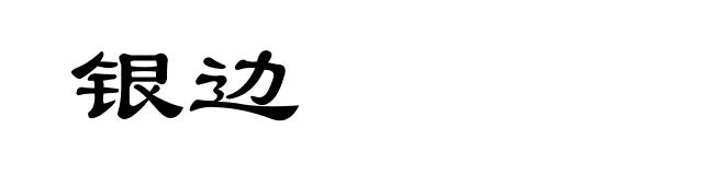 银边