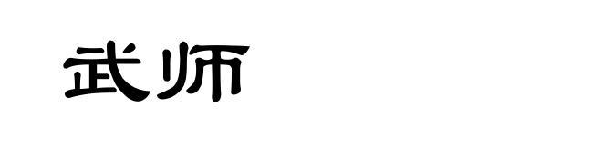 武师