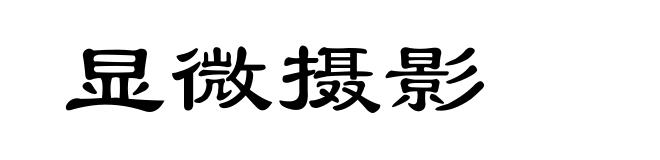 显微摄影