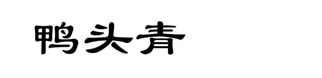 鸭头青