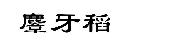 麞牙稻