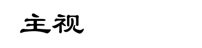 主视