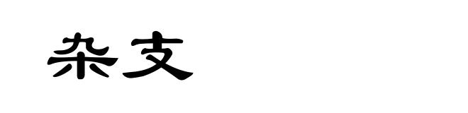 杂支