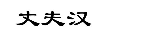 丈夫汉