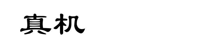 真机