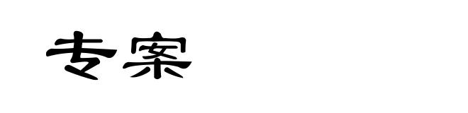 专案