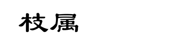 枝属
