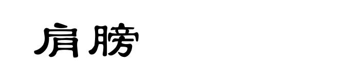 肩膀