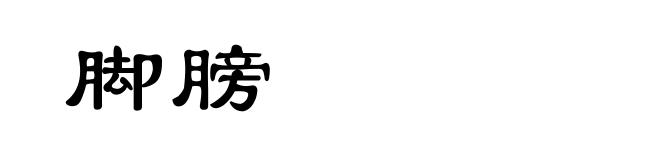 脚膀