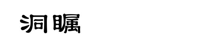 洞瞩