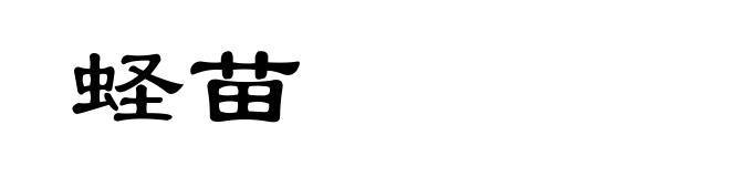 蛏苗