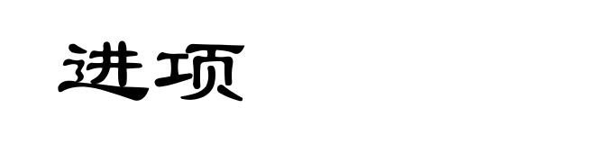 进项
