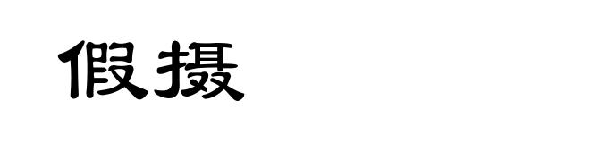 假摄