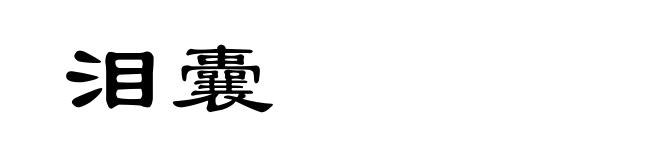 泪囊