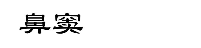 鼻窦