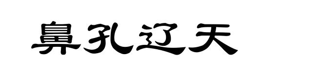 鼻孔辽天