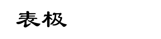表极