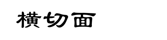 横切面