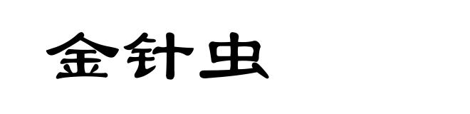 金针虫