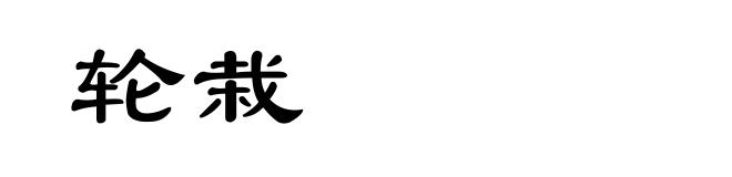 轮栽