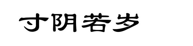 寸阴若岁