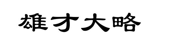 雄才大略