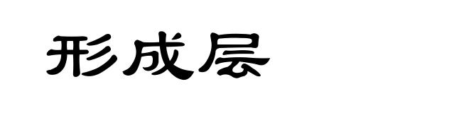 形成层