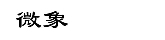 微象