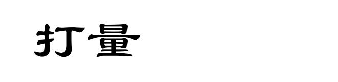 打量