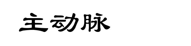 主动脉