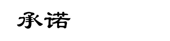 承诺
