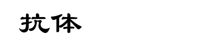 抗体